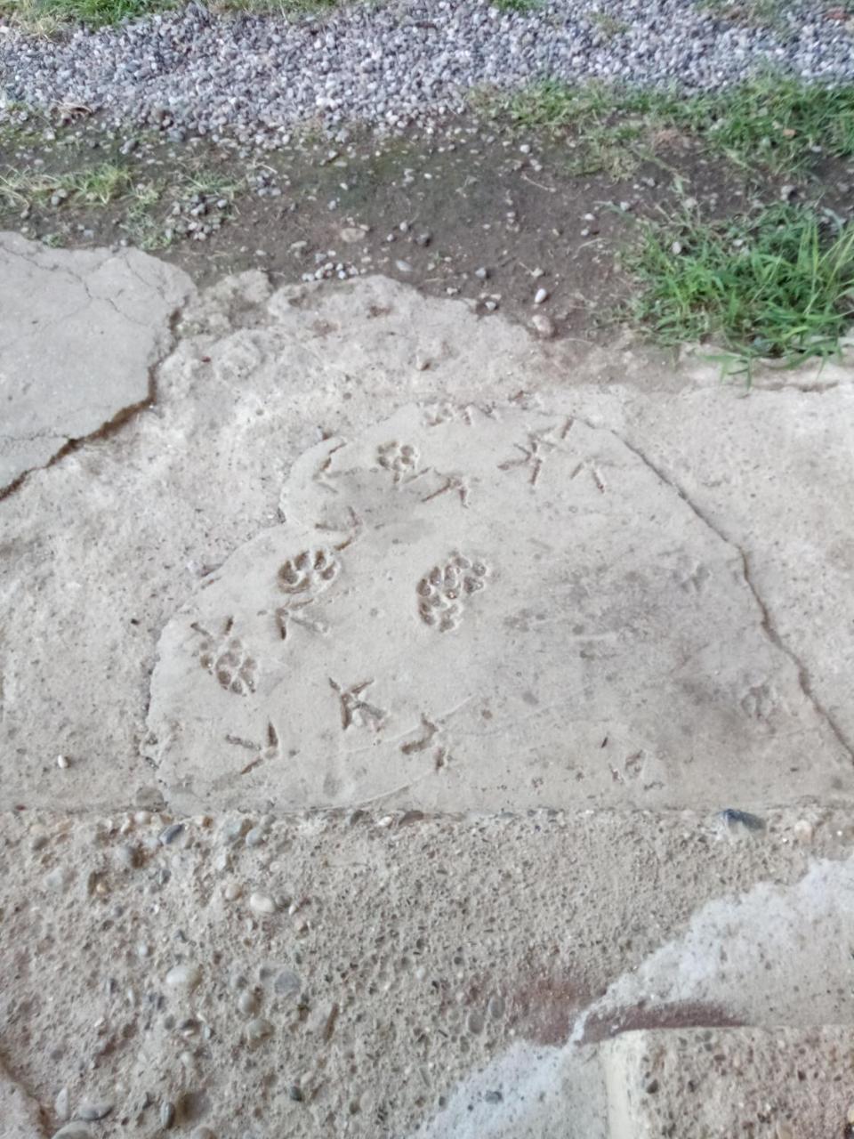 U Vili Otel Pitsunda Dış mekan fotoğraf